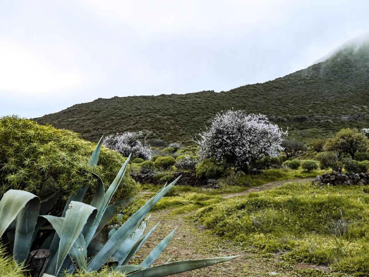 El Retamar Luxury Villa In Nature With Swimming Pool Tenerife, Santiago Del Teide, With Sea And Mountain Views מראה חיצוני תמונה