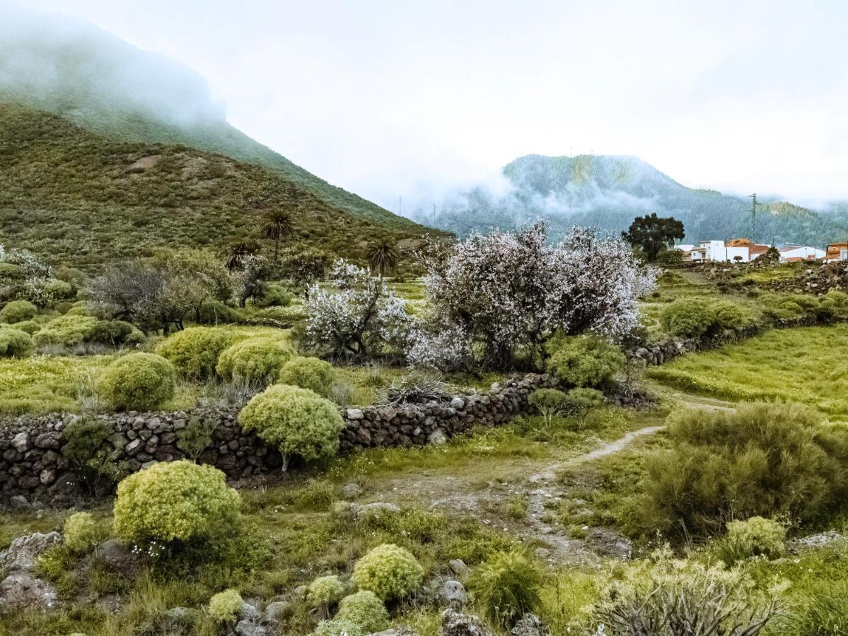 El Retamar Luxury Villa In Nature With Swimming Pool Tenerife, Santiago Del Teide, With Sea And Mountain Views מראה חיצוני תמונה